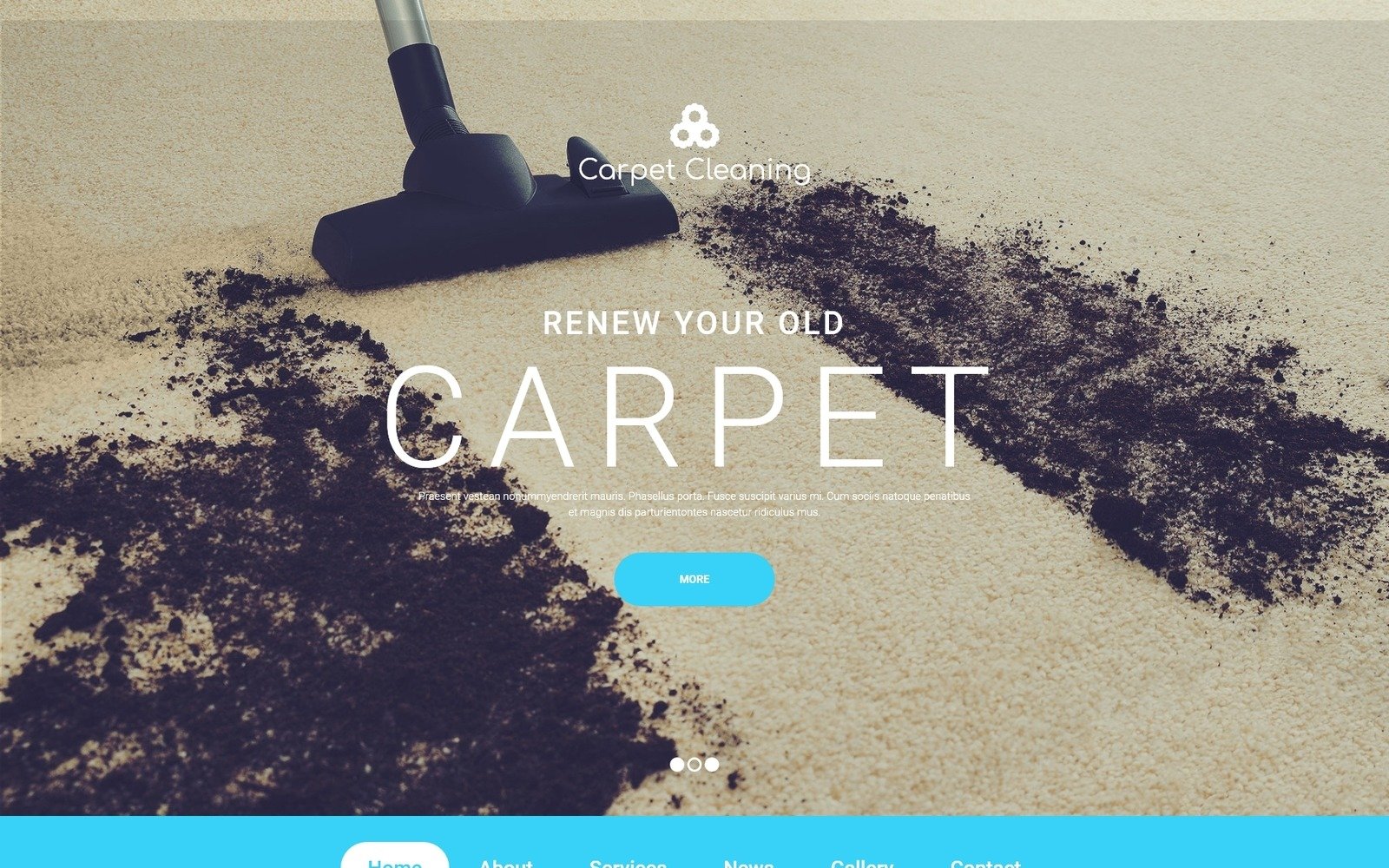 Carpet Cleaning Website Template #55239 TemplateMonster