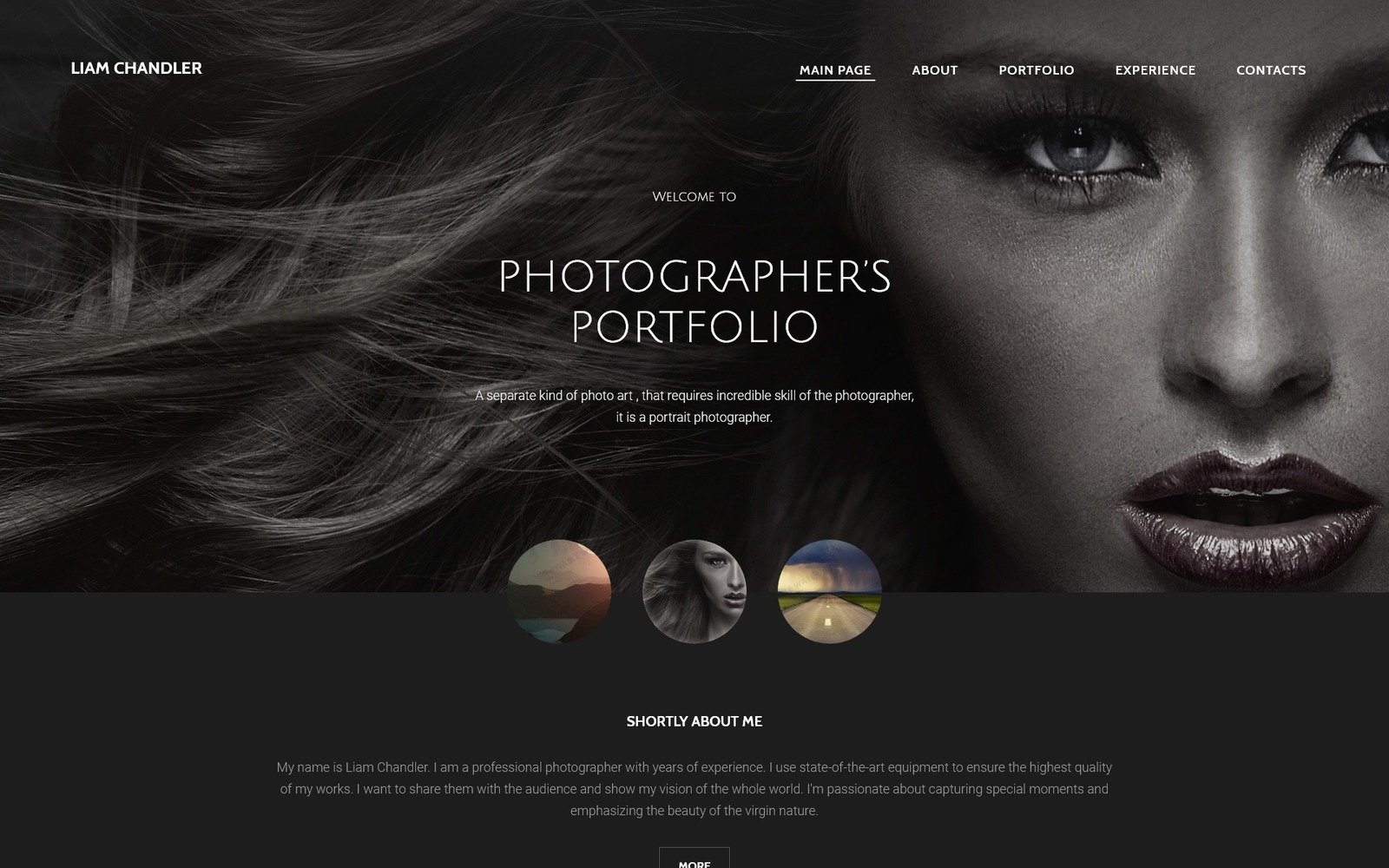 Website Template Photography