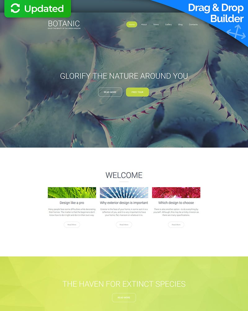 Botanic Responsive  Plus Website 59509
