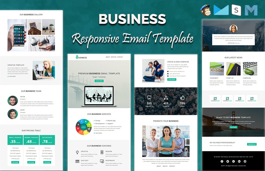 Business - Responsive Newsletter Template - TemplateMonster