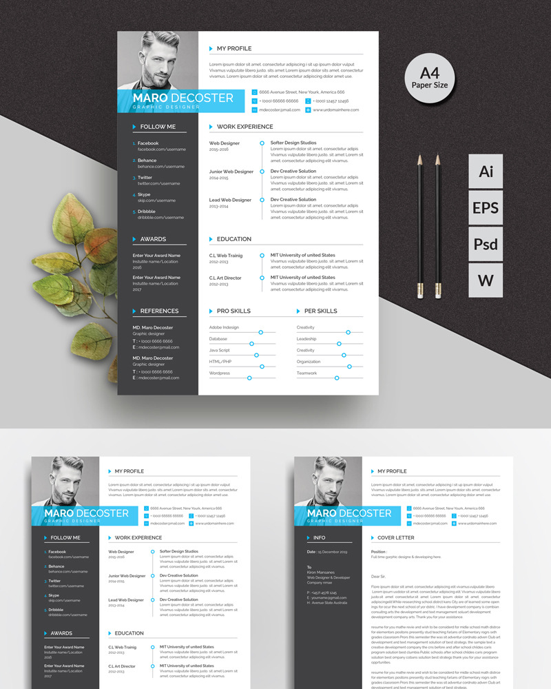 Maro Decoster Classic Resume Template - TemplateMonster