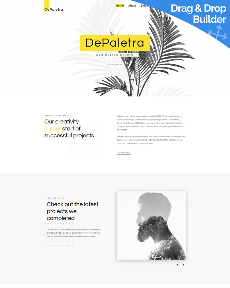 DePaletra Plus Website 80508