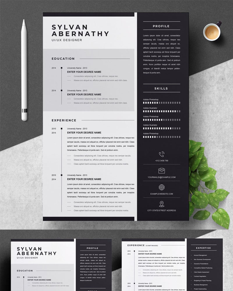 Sylvan Resume Template #84408 - TemplateMonster