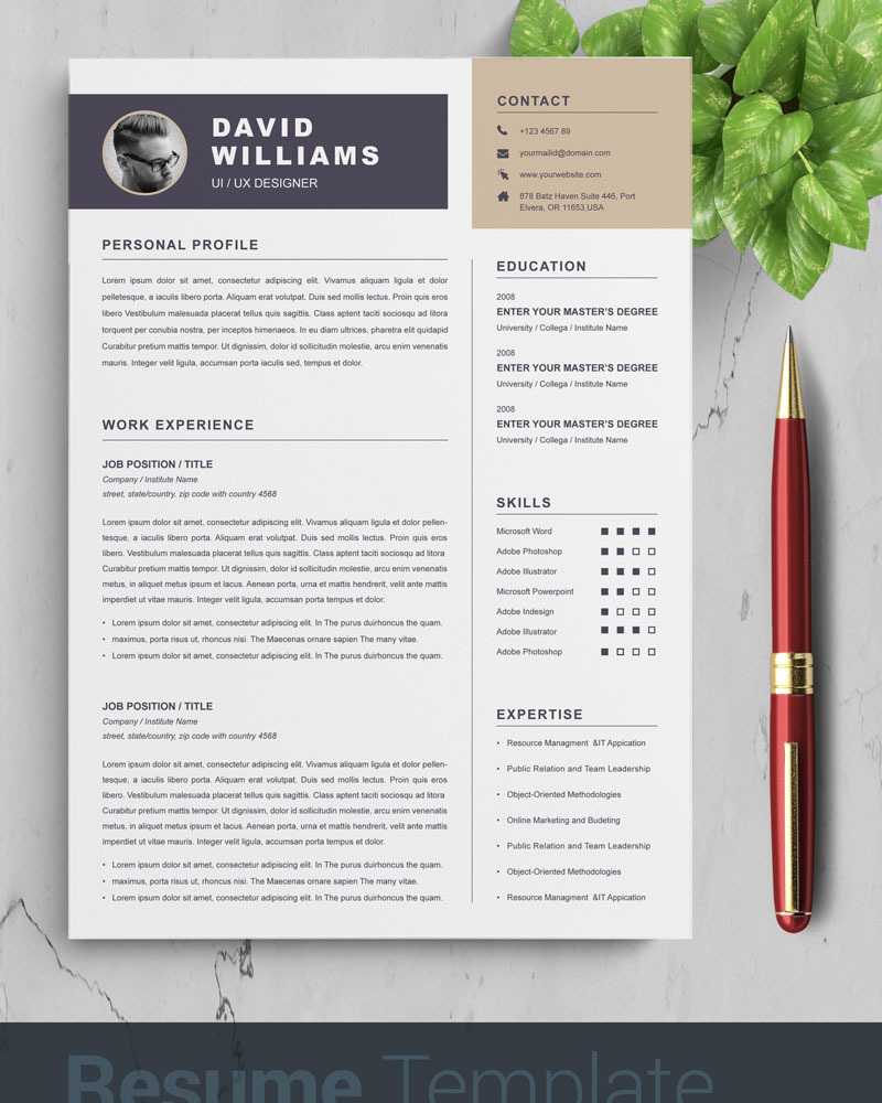 David Resume Template #87574 - TemplateMonster