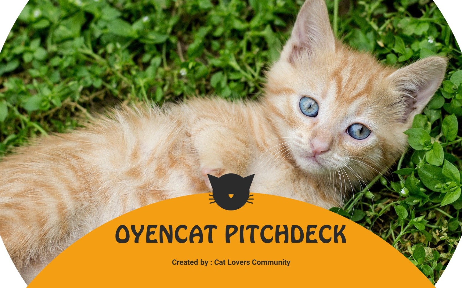 Oyencat Creative Cat PowerPoint template TemplateMonster