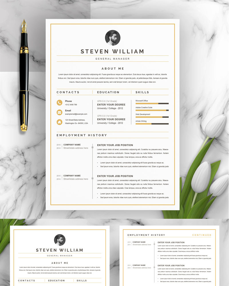 Steven Resume Template #95620 - TemplateMonster