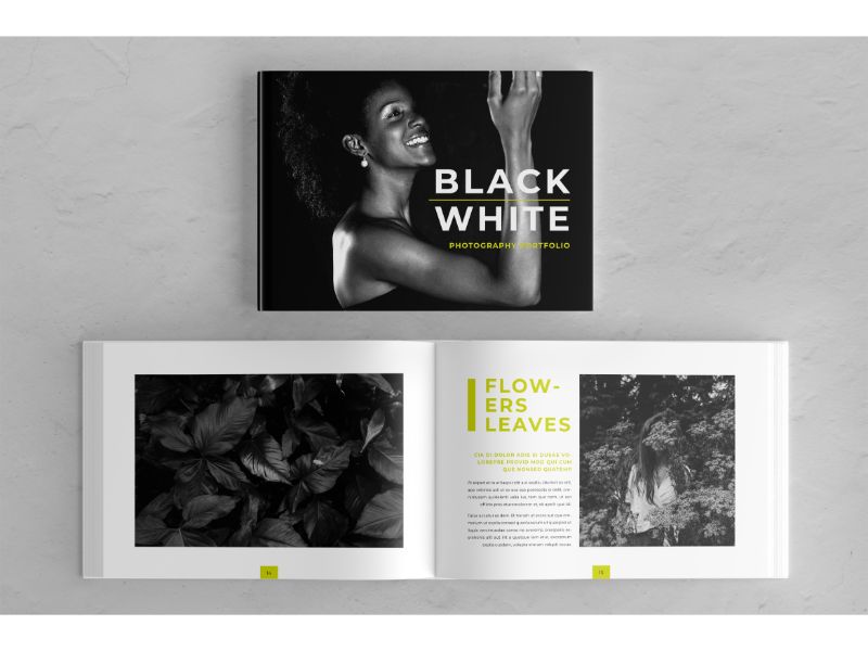 Template #161664 Brochure Photography Webdesign Template - Logo template Preview
