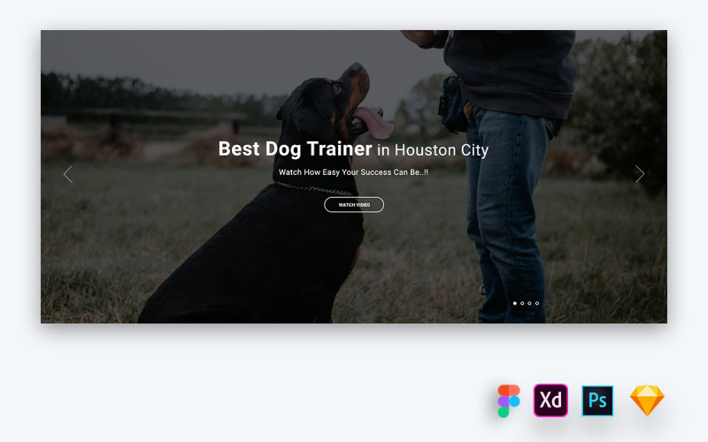 Hero Header for Pets Training Websites UI Element