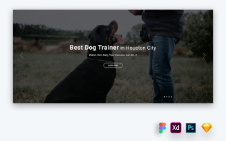 Hero Header for Pets Training Websites