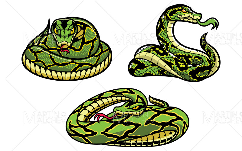 Snakes On White Illustration