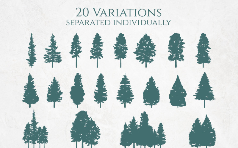 Coniferous Pine Fir Tree Silhouette Set Illustration