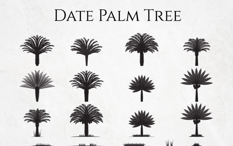 Date Palm Tree Silhouette Element Set Illustration