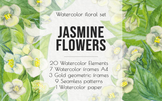 Jasmine Flowers and Leaves. Watercolor Clip Art