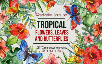 Tropical Exotic leaves & flowers, Butterflies Clip art Illustrations