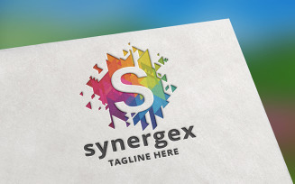 Synergex Letter S Logo template