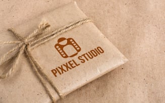 Pixxel Studio Logo Template