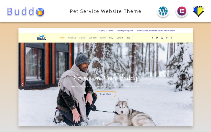 Buddy - Pet Service Website Elementor WordPress theme WordPress Theme