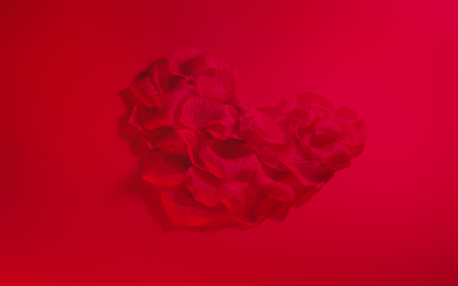 Kit Graphique #171185 Heart Rose Divers Modles Web - Logo template Preview