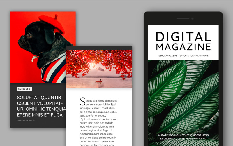 Digital Magazine Layout Template Magazine Template