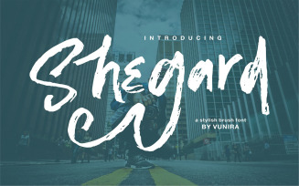 Shegard | A Stylish Brush Font