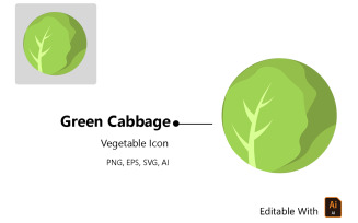 Cabbage Green – Vegetable Icon
