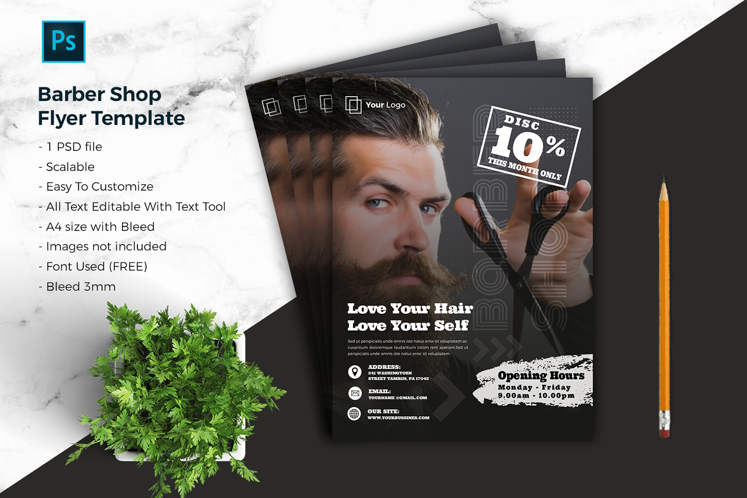 Download Barbershop Flyer vol.01 Corporate identity template | ThemePlug.net