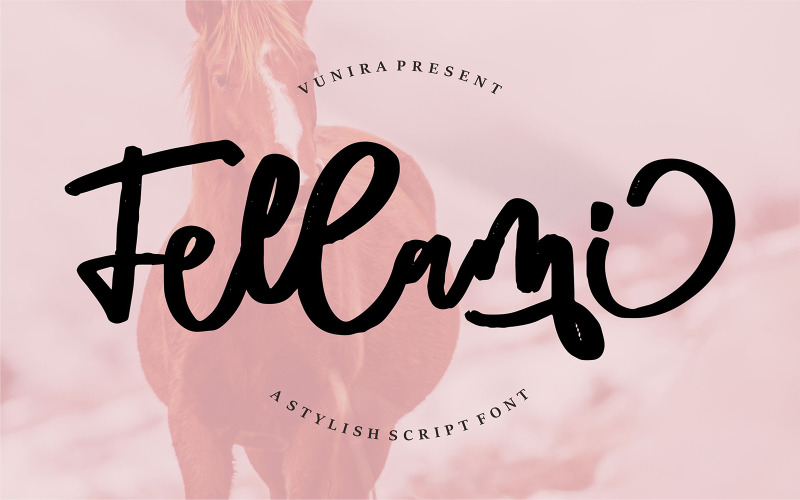 Fellami | A Stylish Script Font