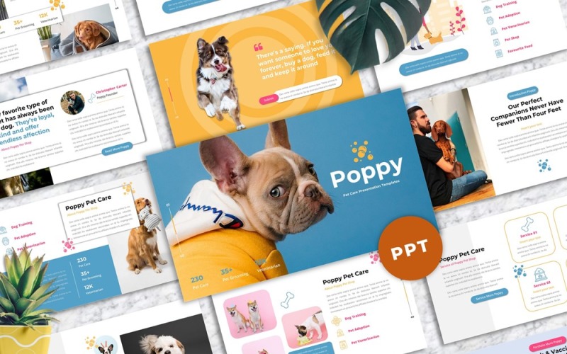 Poppy - Pet Care Powerpoint PowerPoint Template