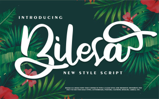 Bilesa | New Style Script Font