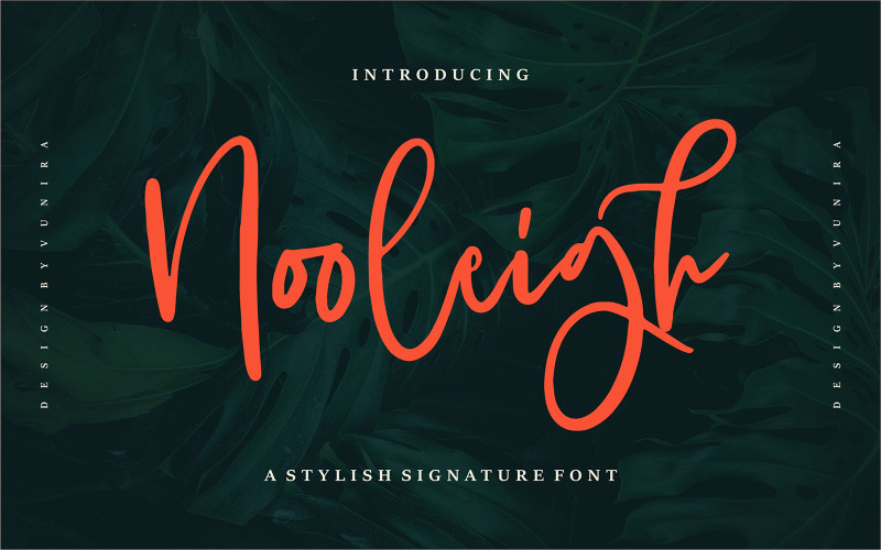 Nooleigh | A Stylish Signature Font