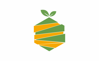 Hexagon Fruit Logo Template