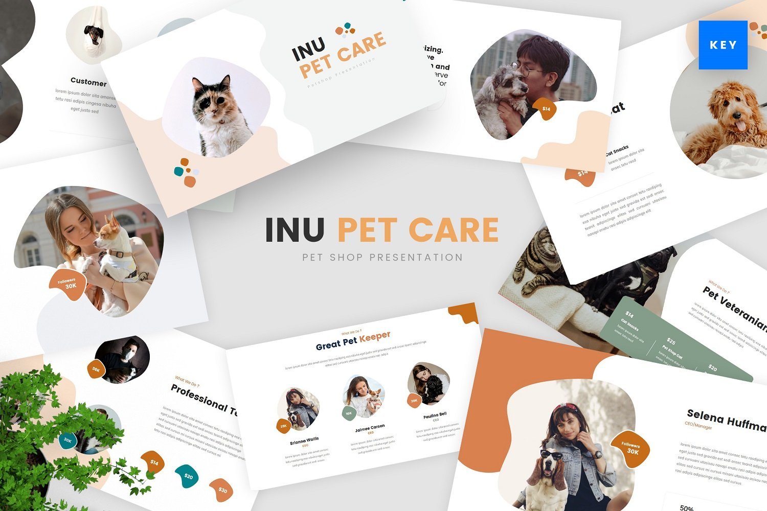 Kit Graphique #178575 Pet Animal Divers Modles Web - Logo template Preview