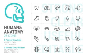 Human & Anatomy Mini Iconset template