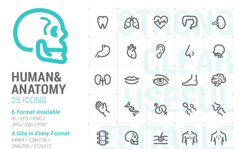 Human & Anatomy Mini Iconset template Icon Set