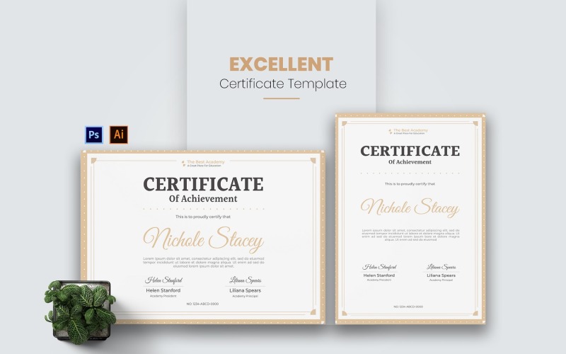 Excellent Academy Certificate template Certificate Template