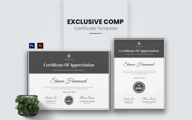 Exclusive Company Certificate template Certificate Template