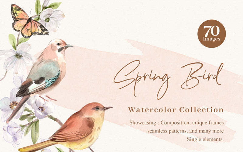 Spring Birds Watercolor Collection Illustration