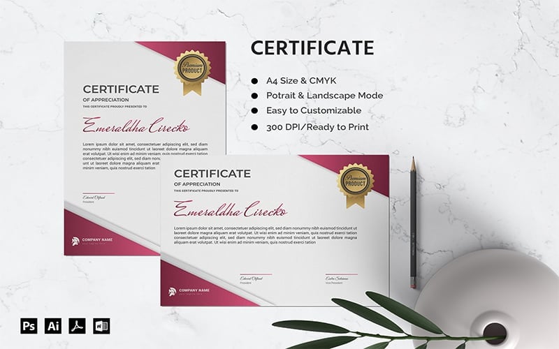 Kit Graphique #182908 Award Ralisation Divers Modles Web - Logo template Preview