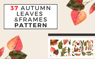 37 Autumn Leaves And Frames Pattern Watercolor Collection Illustration Background
