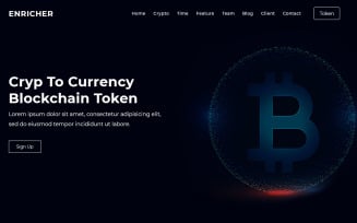 Enricher - ICO Bitcoin & Cryptocurrency Landing Page Theme