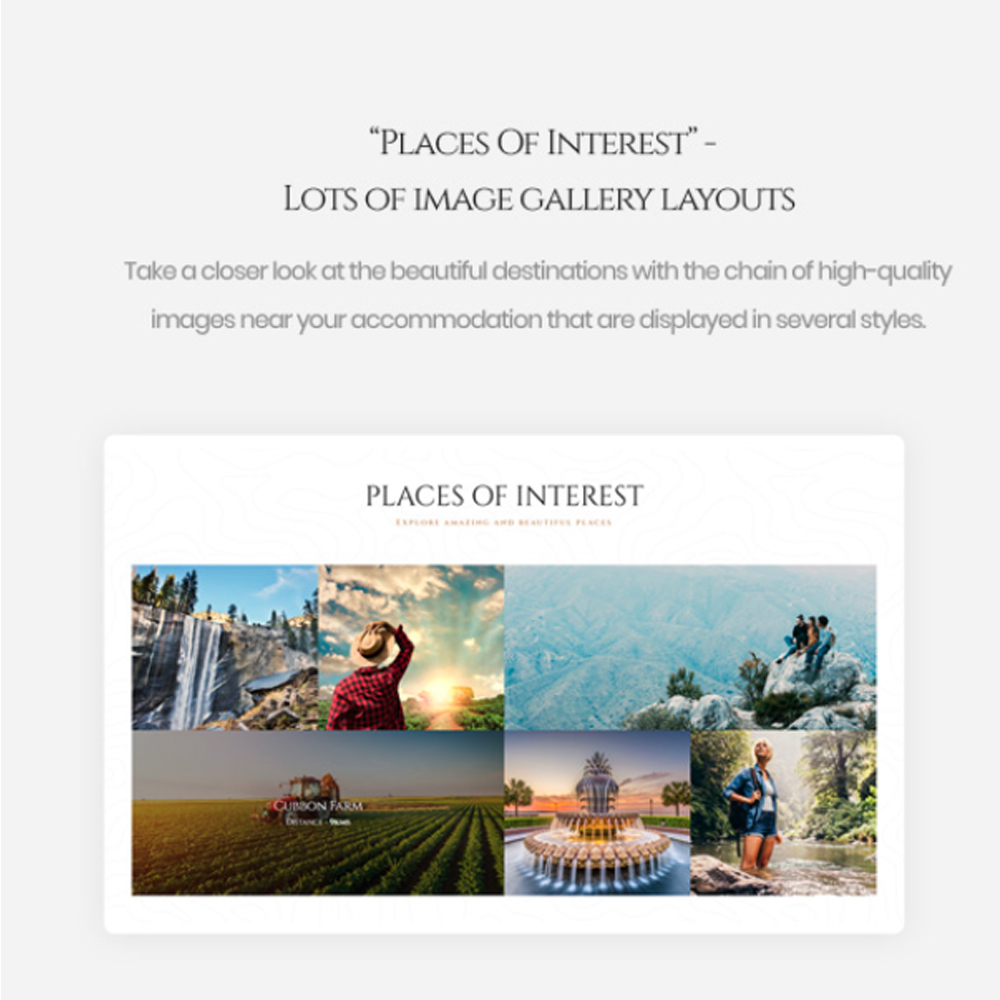 TM Ami - Gastgezinnen, resorts, villa's en hotels PrestaShop-thema