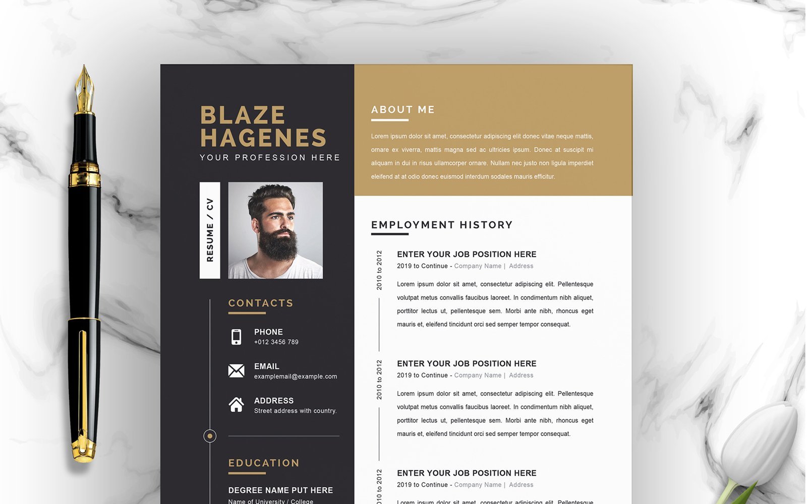 Kit Graphique #185552 Clean Cv Divers Modles Web - Logo template Preview