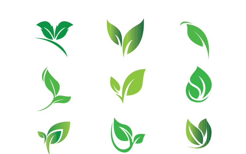 Green Leaf Logo Design Set Logo Template
