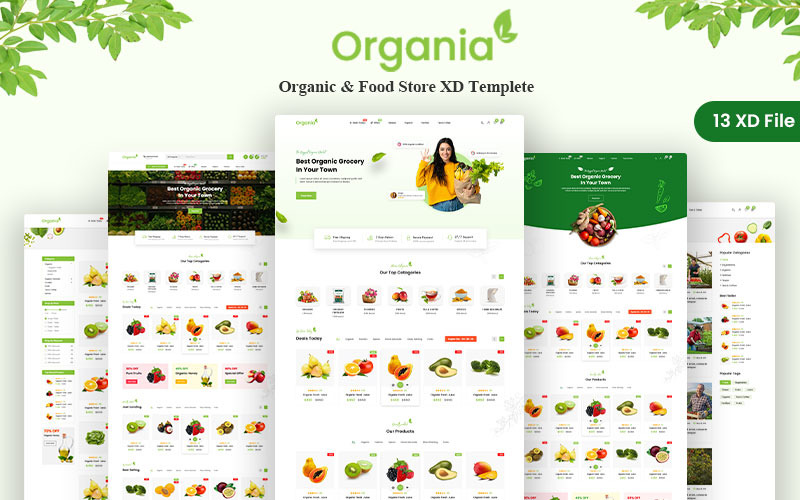 Organia - Organic & Food Store XD Templete PSD Template