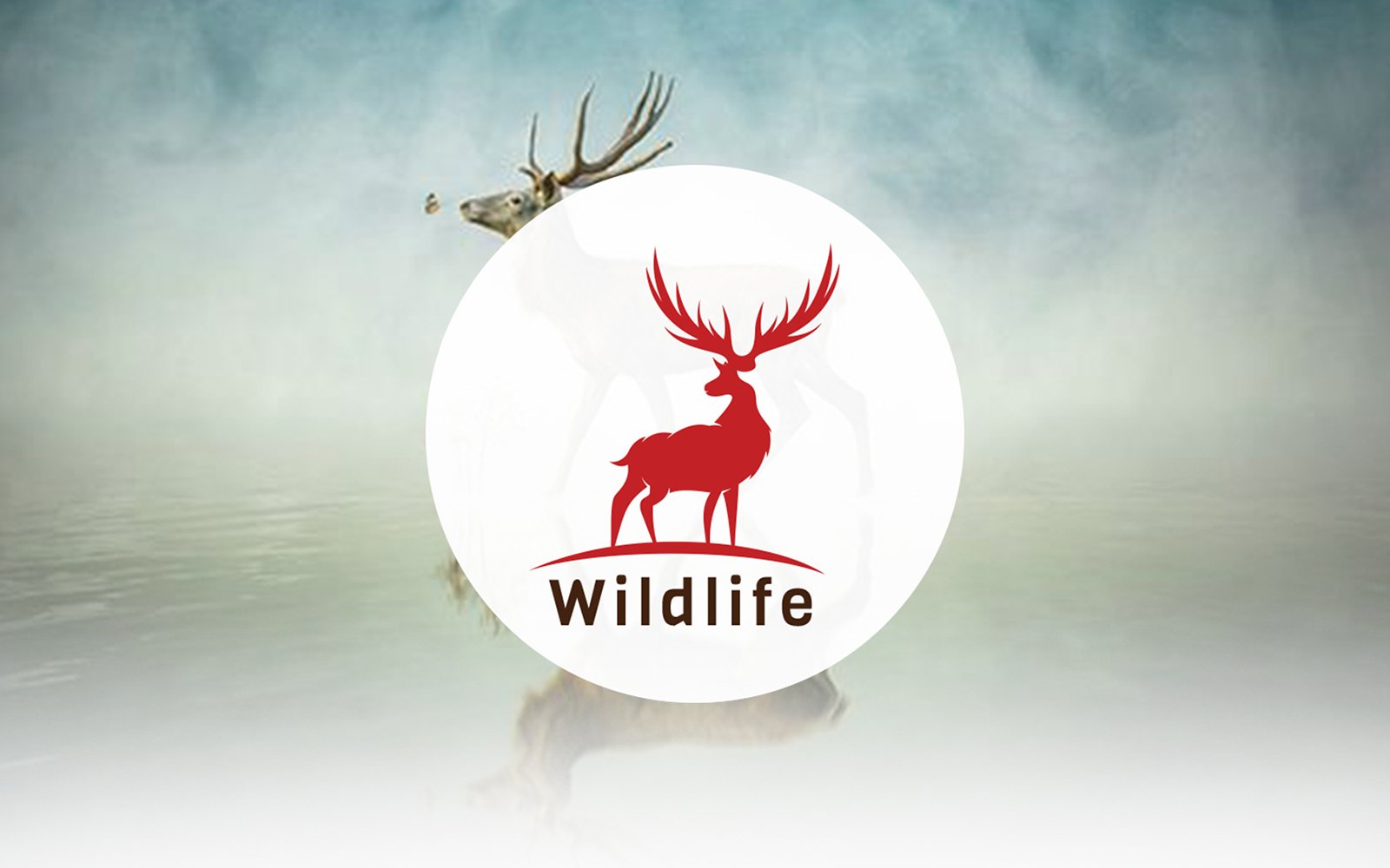Kit Graphique #188633 Safari Animal Divers Modles Web - Logo template Preview