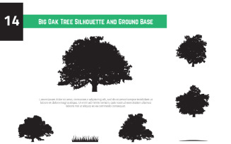 14 Big Oak Tree Silhouette and Ground Base Illustration