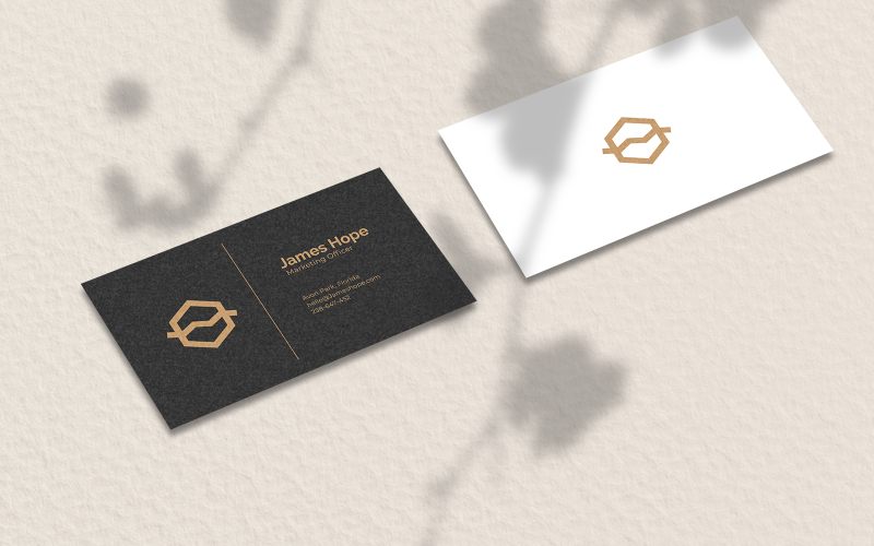 Simple Minimal Business Card Template and Mockup Product Mockup