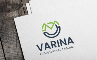 Varina V Letter Logo Template