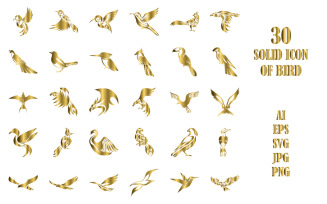 Solid Style Icon Set Of Many Birds