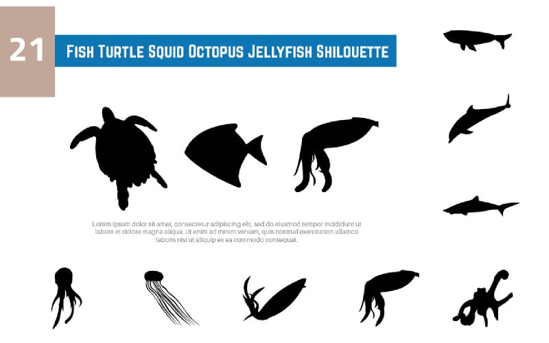 21 Fish Turtle Squid Octopus Jellyfish Shilouette Illustration
